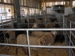 phoca_thumb_l_noviembre 047